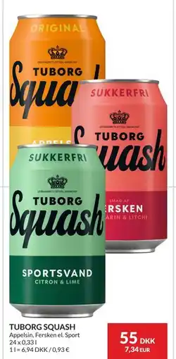 Nielsen's Discount TUBORG SQUASH tilbud