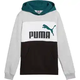 Sport 24 PUMA Essentials Block B Hættetrøje Børn tilbud
