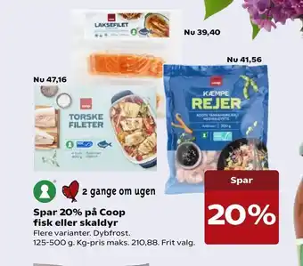 Kvickly Coop fisk eller skaldyr tilbud