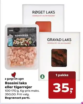 Kvickly Rossini laks eller tigerrejer tilbud