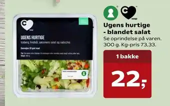 Kvickly Ugens hurtige - blandet salat tilbud