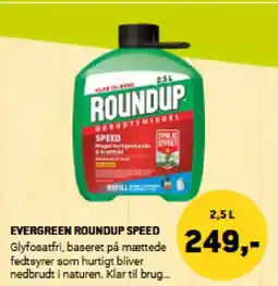 XL-BYG EVERGREEN ROUNDUP SPEED tilbud