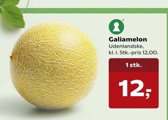 Galiamelon