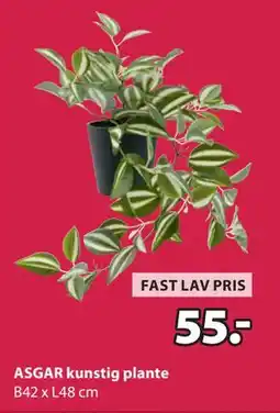 JYSK ASGAR kunstig plante tilbud