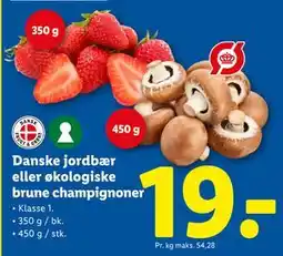 Lidl Danske jordbær eller økologiske brune champignoner tilbud