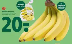 Coop 365 Økologiske bananer tilbud