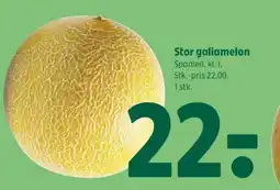 Coop 365 Stor galiamelon tilbud