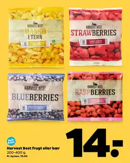 Netto Harvest best frugt eller bær tilbud