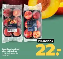 Netto Premieur ferskner eller nektariner tilbud