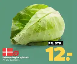 Netto Øgo økologisk spidskål tilbud