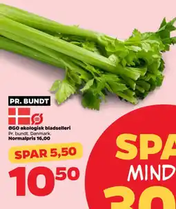 Netto ØGO Økologisk bladselleri tilbud
