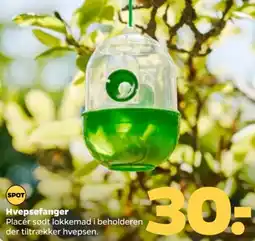 Netto Hvepsefanger tilbud