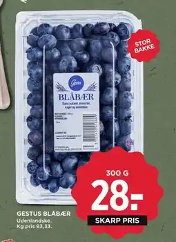 MENY GESTUS BLÅBÆR tilbud