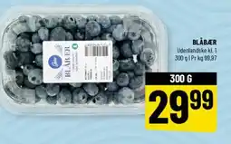 Løvbjerg Blåbær tilbud