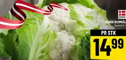 Løvbjerg Dansk blomkål tilbud