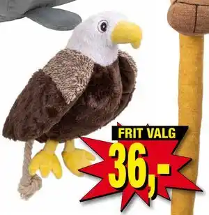 Harald Nyborg Ørn med lyd tilbud