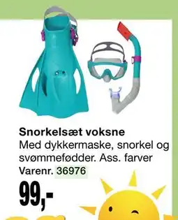 Harald Nyborg Snorkelsæt voksne tilbud