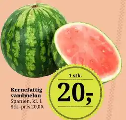 Dagli'Brugsen Kernefattig Vandmelon tilbud