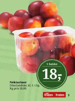 Dagli'Brugsen Nektariner tilbud