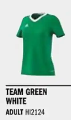 Sport Direct ADIDAS Jersey ENT22 JSY W Team green white tilbud