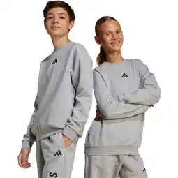 Sport 24 adidas All SZN GFX Sweatshirt Børn tilbud