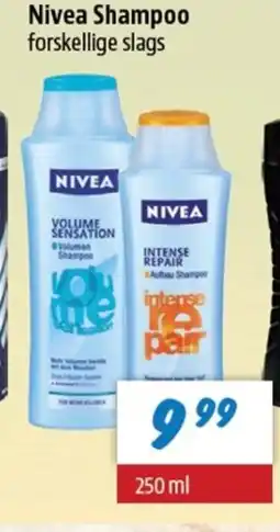 zur Krone Nivea Shampoo forskellige slags tilbud