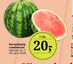 LokalBrugsen Kernefattig vandmelon tilbud