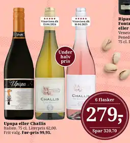 Upupa eller Challis Italien.