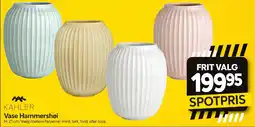 Din Isenkræmmer KÄHLER Vase Hammershøi tilbud
