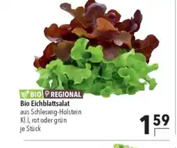 Citti Bio Eichblattsalat tilbud