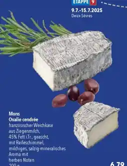 Citti Mons Ovalie cendrée tilbud