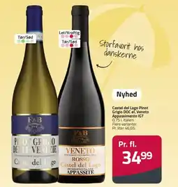 Fleggaard Castel del Lago Pinot Grigio DOC el. Veneto Appassimento IGT tilbud