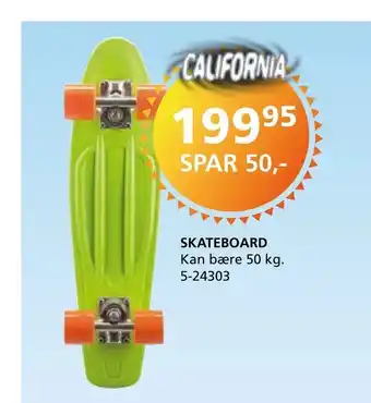 Skateboard