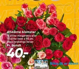 Bilka Afskårne blomster, DKK 40 tilbud