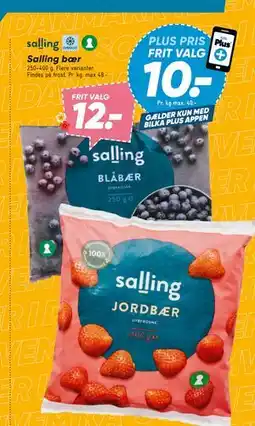 Bilka Salling bær, DKK 12, App-pris tilbud