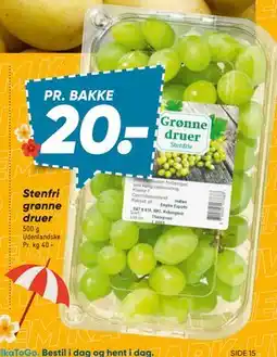 Bilka Stenfri grønne druer, DKK 20 tilbud