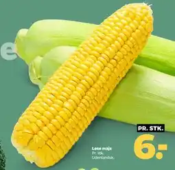Netto Løse majs, DKK 6 tilbud