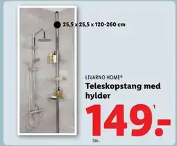 Lidl Teleskopstang med hylder, DKK 149 tilbud
