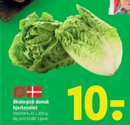 Coop 365 Økologisk dansk hjertesalat tilbud