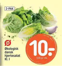 REMA 1000 Økologisk dansk hjertesalat Kl. I, DKK 10 tilbud