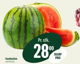 Min Købmand Vandmelon, DKK 28 tilbud