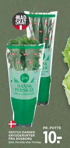 MENY GESTUS DANSKE KRYDDERURTER FRA ROSBORG, DKK 10 tilbud