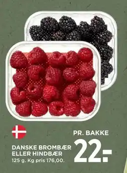 MENY DANSKE BROMBÆR ELLER HINDBÆR, DKK 22 tilbud
