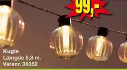 Harald Nyborg Kugle, DKK 99 tilbud
