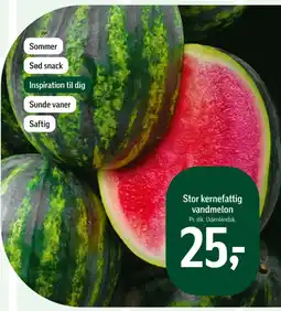 Føtex Stor kernefattig vandmelon tilbud