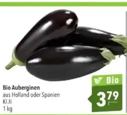 Citti Bio Auberginen aus Holland oder Spanien KI.II tilbud