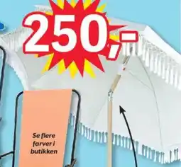 BigDollar Boho tilbud