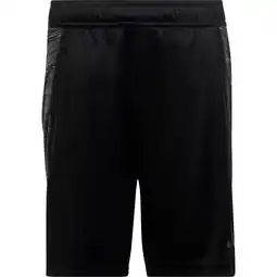 Sport 24 adidas Train Icons Træningsshorts Børn tilbud
