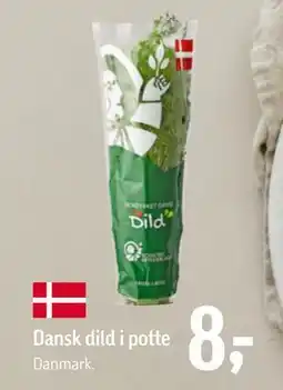 Føtex Dansk dild i potte, DKK 8 tilbud