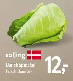 Føtex Dansk spidskål, DKK 12 tilbud